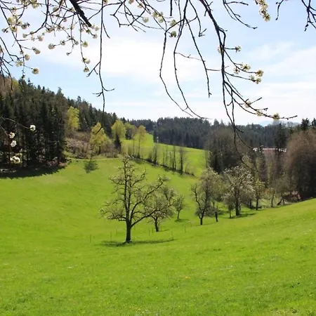 Glamping Western Style Planenwagen *