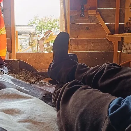 Western Style Planenwagen Glamping