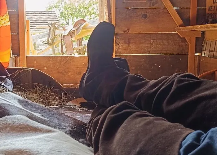 Western Style Planenwagen Glamping