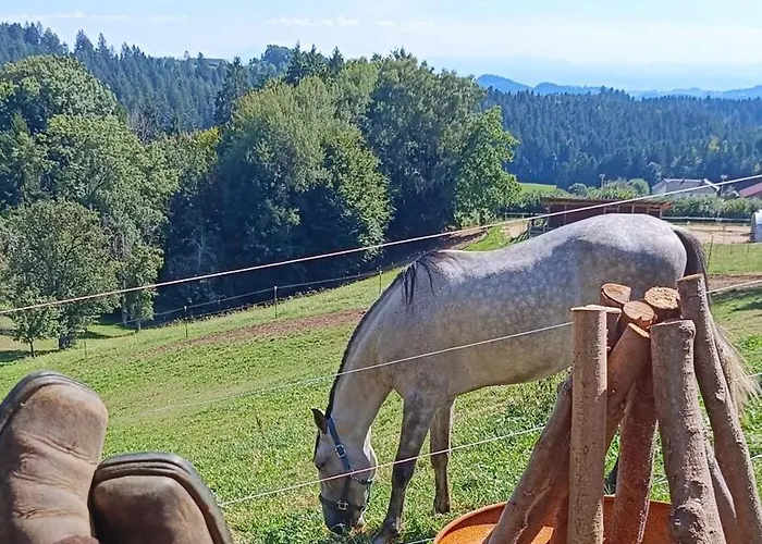 Glamping Western Style Planenwagen Henndorf (Perg)