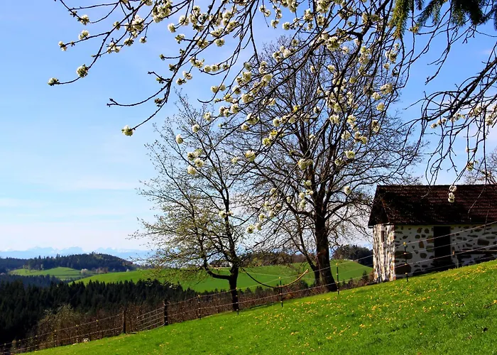 Western Style Planenwagen Glamping *