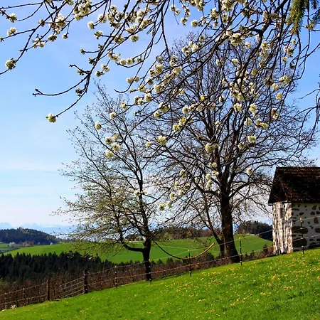 Western Style Planenwagen Campo de lujo *