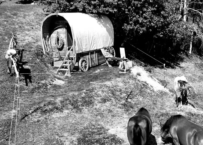 Western Style Planenwagen Campo de lujo