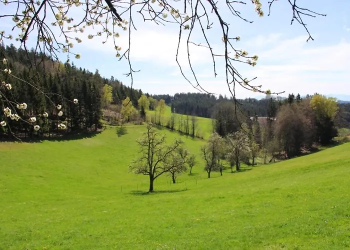 Campo de lujo Western Style Planenwagen *