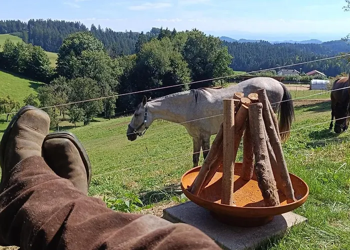 Western Style Planenwagen Campo de lujo